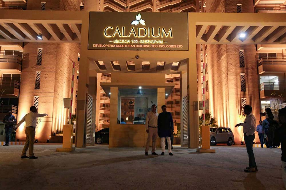 Caladium Entrance